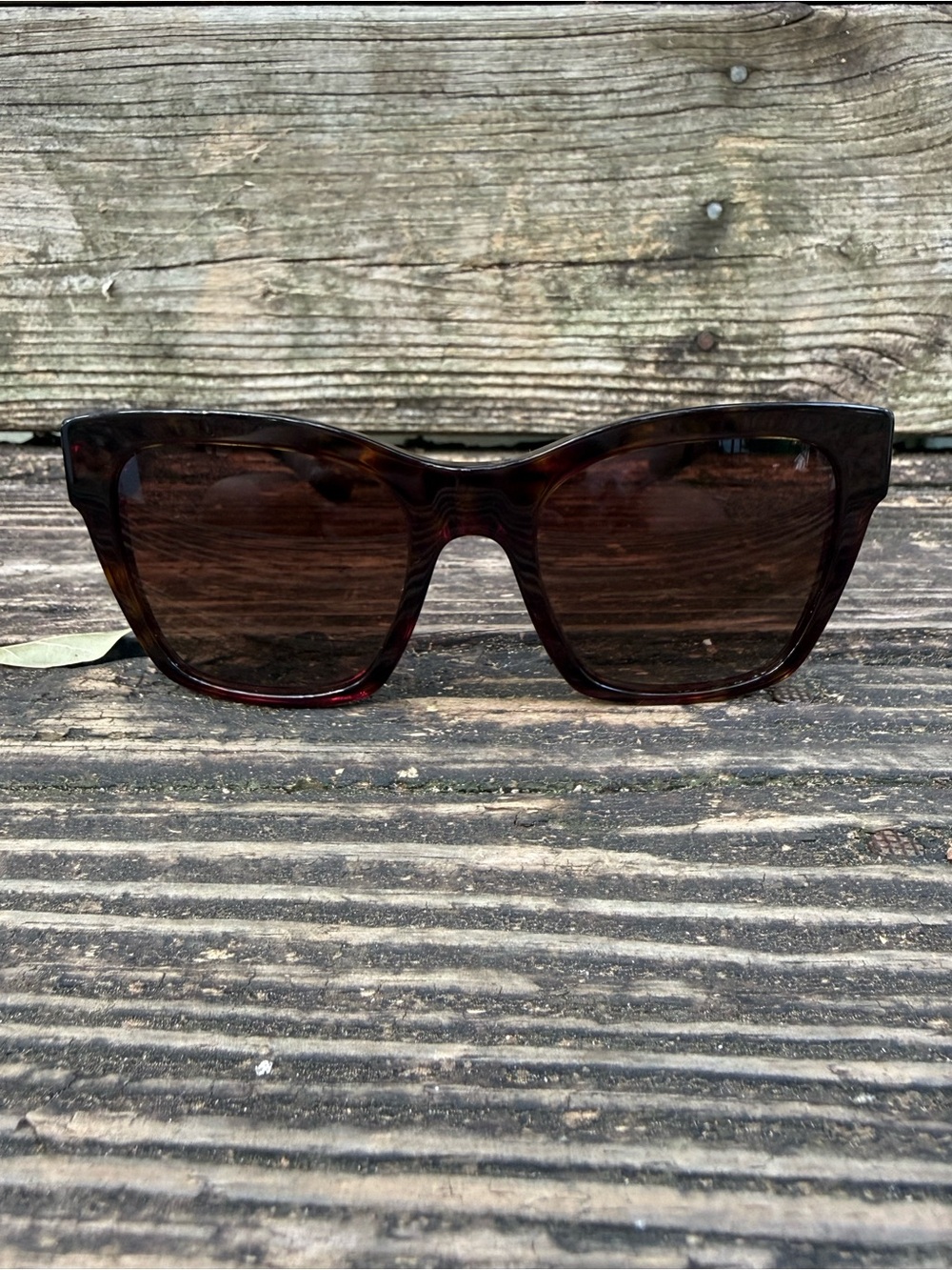 Dolce & Gabbana Sunglasses